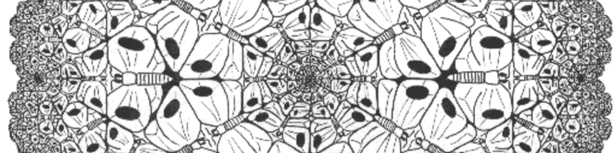 Large_vlinders